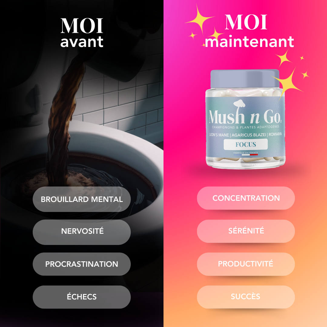 Aux USA, le Lion’s Mane est en vogue, et bientôt en Europe !