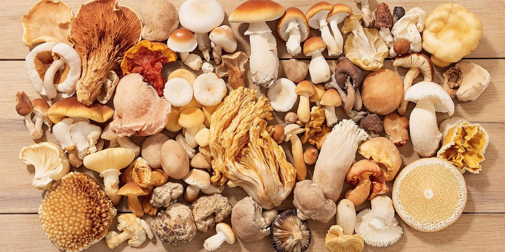 A variety of medicinal mushrooms on a wooden surface.