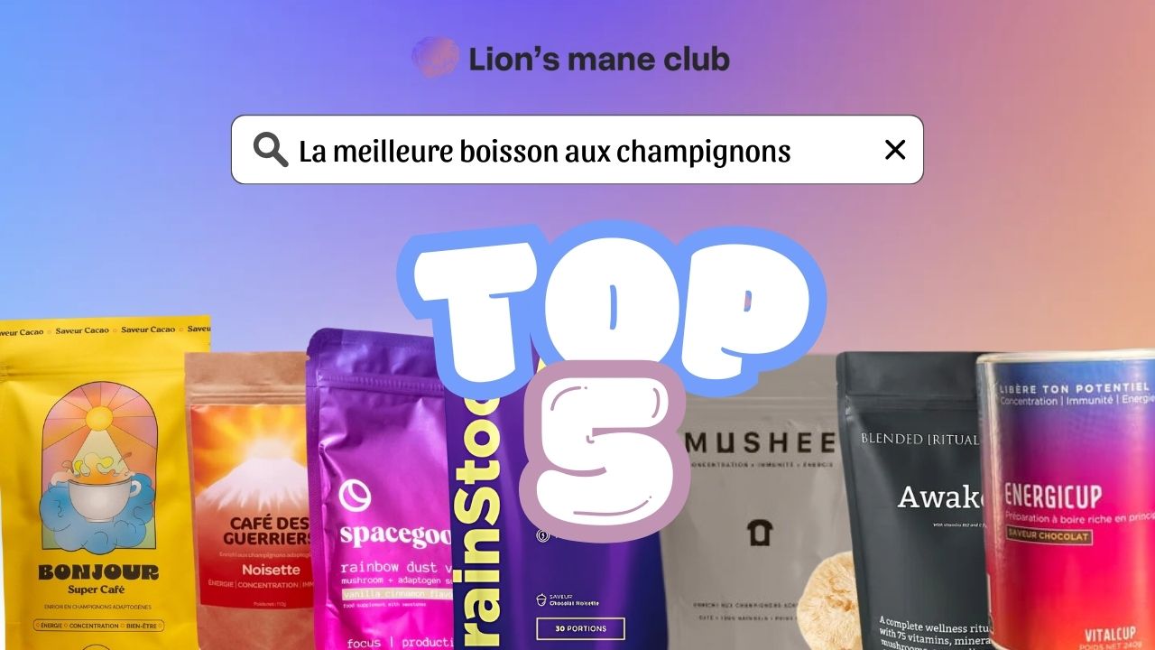 TOP 5 des boissons aux champignons Lion's Mane