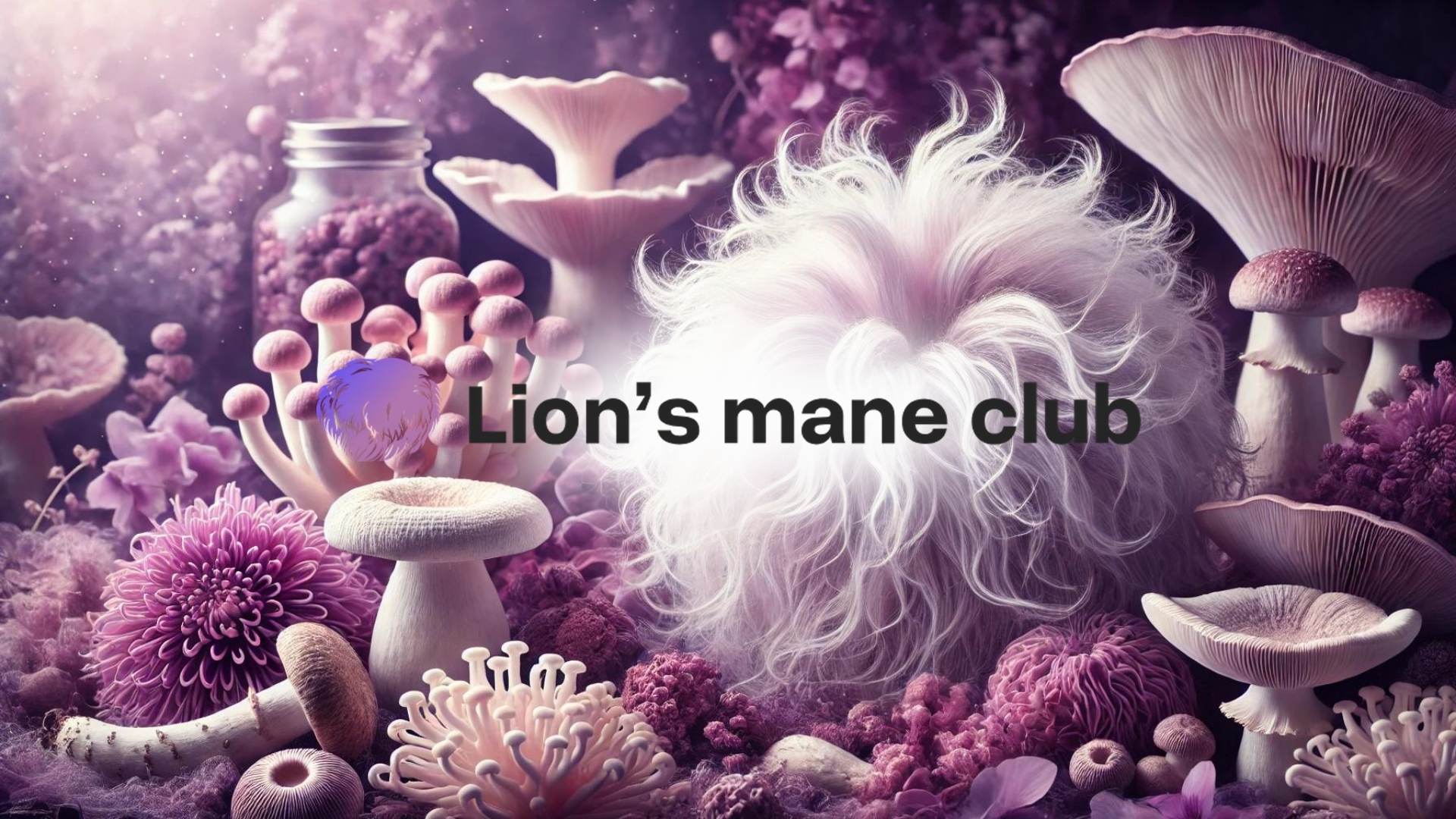 Lion's Mane ou Reishi : quel champignon choisir selon votre objectif ?
