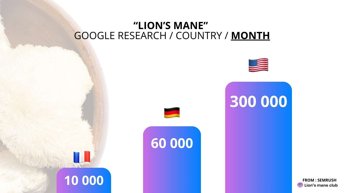 Aux USA, le Lion’s Mane est en vogue, et bientôt en Europe !