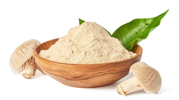 Poudre de Lion's Mane : comment bien la choisir et l'utiliser