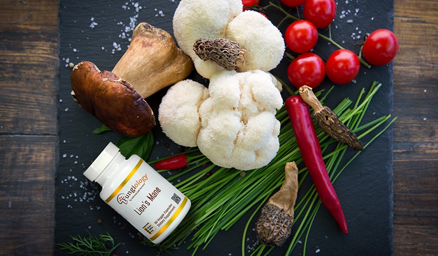 Comment consommer le Lion's Mane : formes, dosage et moment de prise
